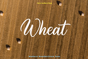 Wheat Script