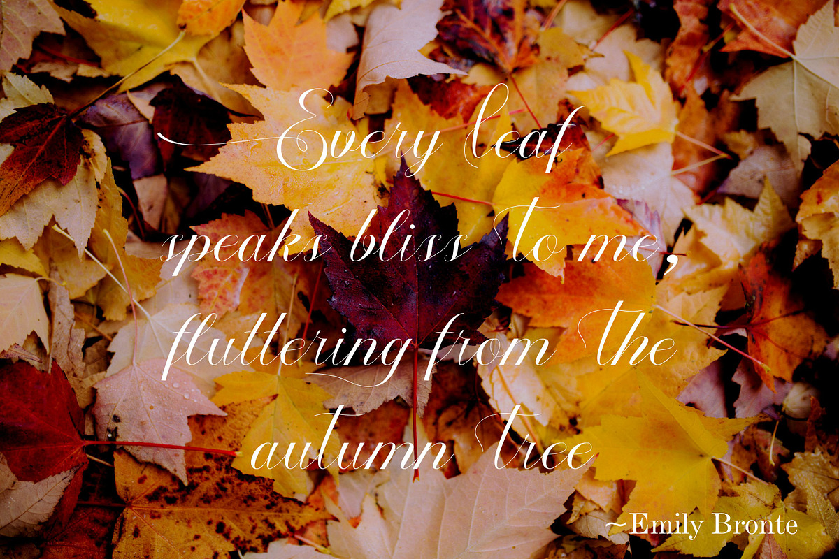 Autumn, a Script Font by Funtype (Photo 5 of 9)