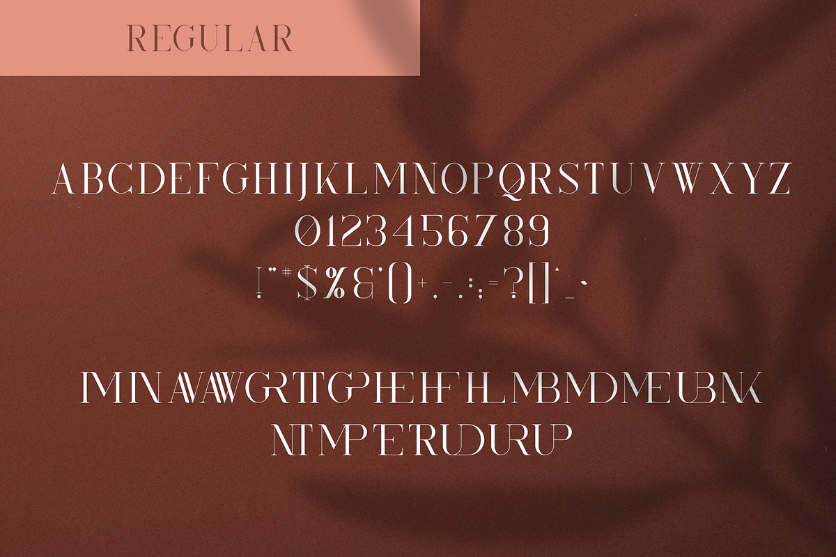 Kindel - Completed Collection, a Serif Font by VP Fonts (Photo 9 of 44)