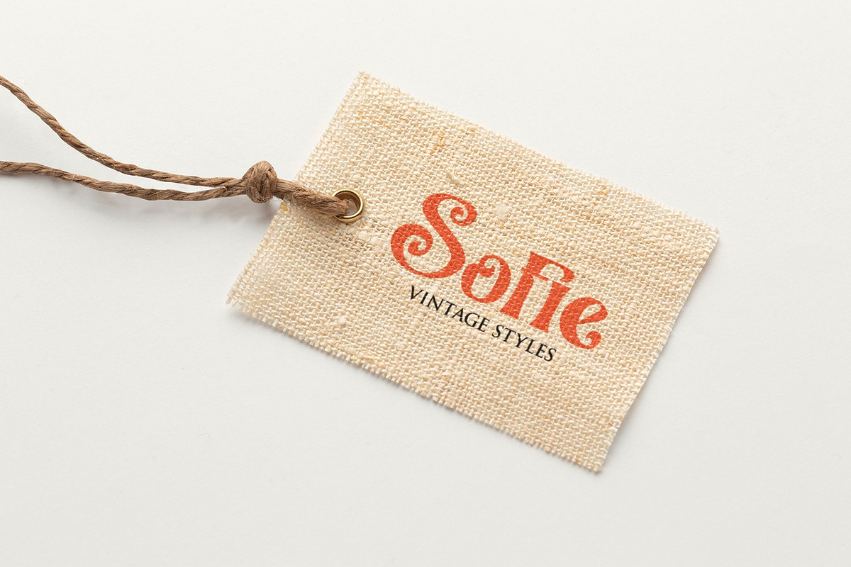 Vanisha - Modern Serif Display, a Serif Font by Koplexs Studio (Photo 6 of 11)