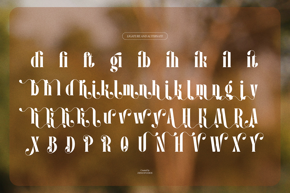 Pany Anemov | Modern Display Serif, a Font by Denustudios (Photo 14 of 15)
