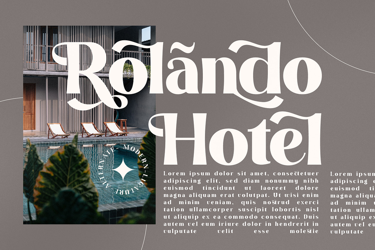 California Paradise Modern Serif, a Serif Font by Storytype Studio (Photo 4 of 15)