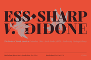 Mixta Essential, a Serif Font by Latinotype (Thumbnail 9 of 14)