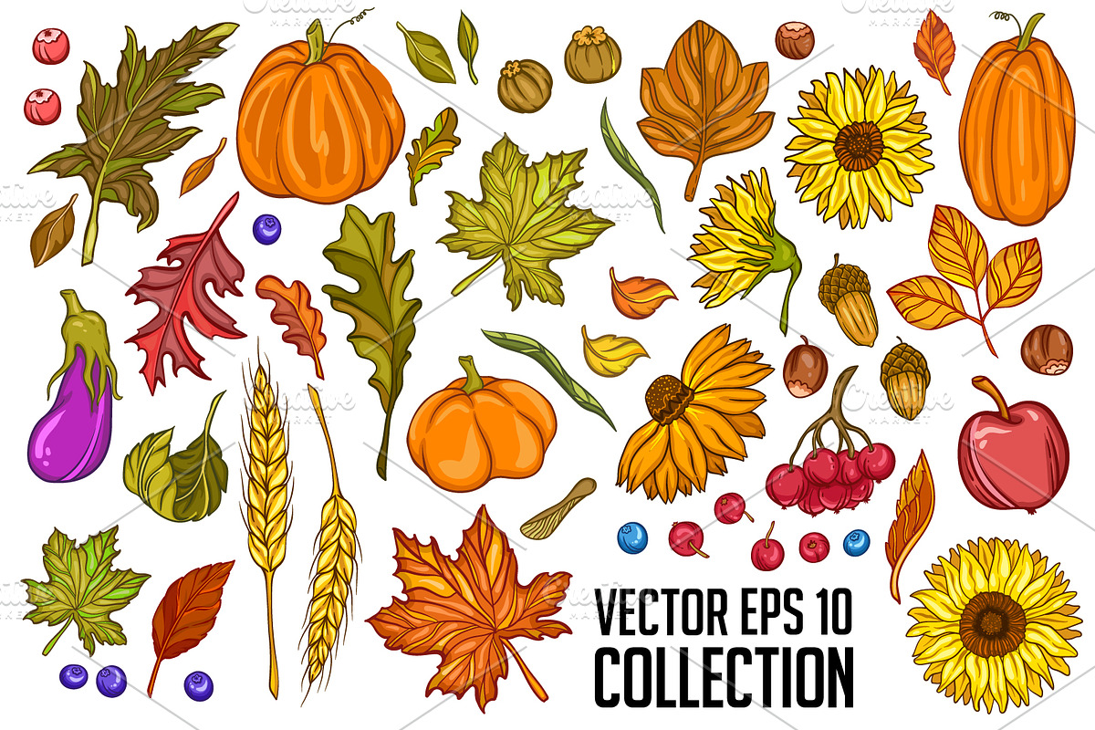 Hello Autumn Collection, a Decorative Illustration by VioSilent (Photo 2 of 10)