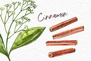 Star anise, Cinnamon, Cardamon, a Food Illustration by Ann Astro (Thumbnail 5 of 6)
