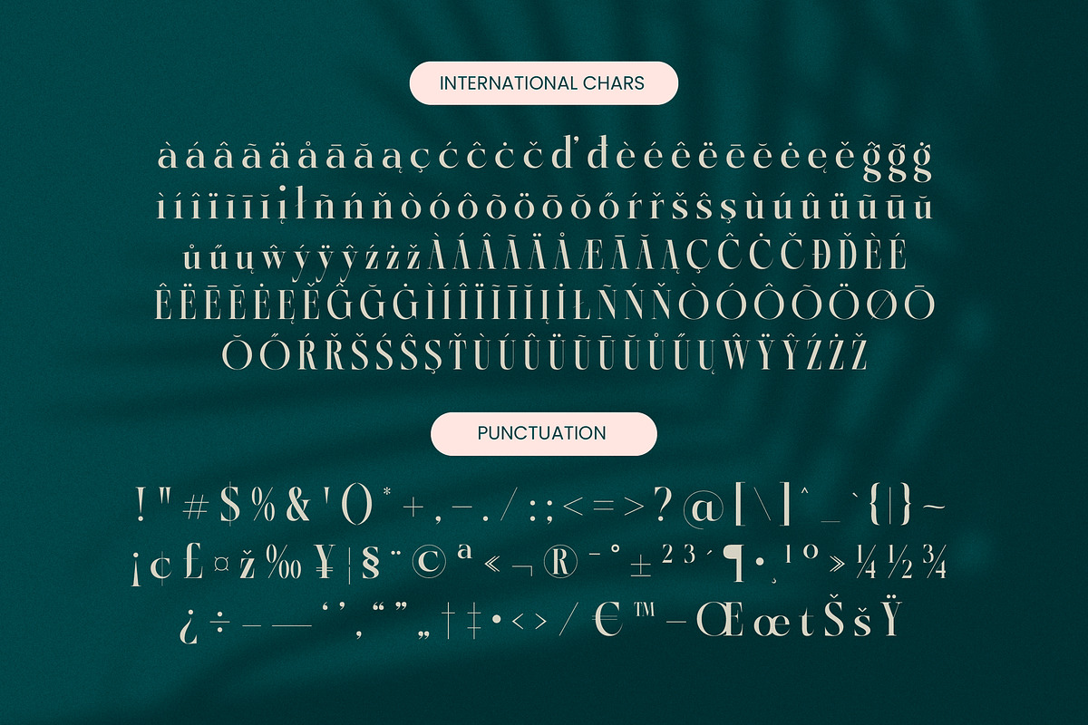 Kozan - Elegant Modern Serif, a Serif Font by timelesstype.co (Photo 18 of 20)