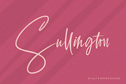 The Script Font Bundle - Vol 02, a Script Font by Salt & Pepper Designs (Thumbnail 7 of 11)