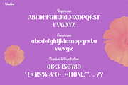 Thalia, a Serif Font by Pinisi ART (Thumbnail 2 of 10)
