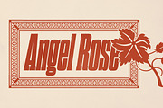 Dharma Slab, a Slab Serif Font by Dharma Type (Thumbnail 4 of 10)