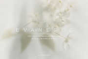 Blur Botanical Vellum Backgrounds, a Background Graphic by alonahaidash (Thumbnail 1 of 14)