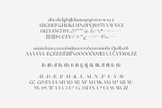 Musque – Unique Elegant Display Font, a Serif Font by Studio Aurora (Thumbnail 3 of 12)