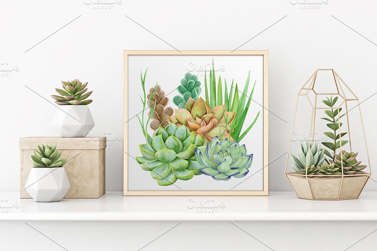 Succulents Watercolor clipart, an Illustration by BarvArt (Photo 3 of 13)