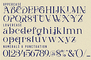 Practices Collection - Elegant Font, a Serif Font by 177Studio (Thumbnail 7 of 8)