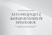 Crusade Queen, a Font by DzikrulAulia (Thumbnail 5 of 10)