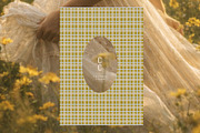 Cottage Gingham Frames Backgrounds, a Background Graphic by Laras Wonderland (Thumbnail 4 of 11)