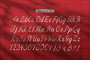 Filagio Vilantio Classic Script, a Script Font by gracetype_studio (Thumbnail 9 of 11)