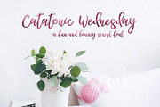 Catatonic Wednesday, a Script Font by Kristy Hatswell (Thumbnail 1 of 5)