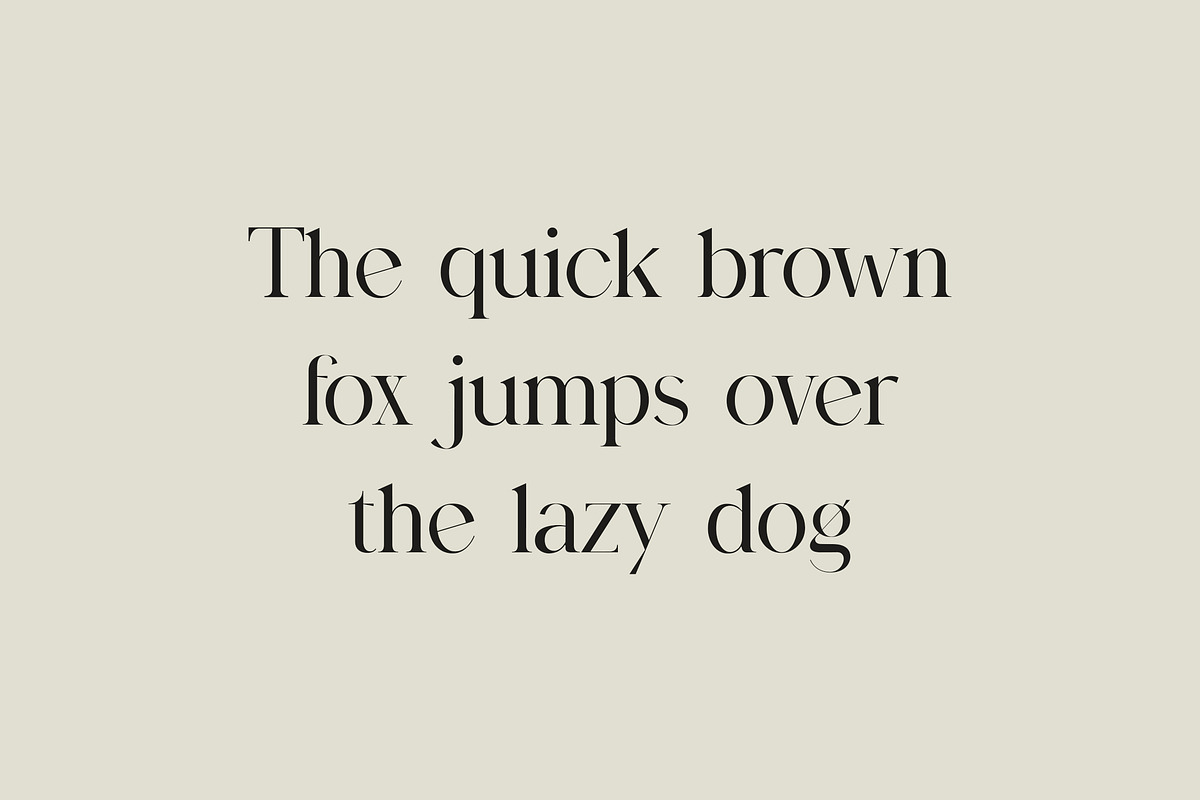 Birgine Modern Serif Font, a Serif Font by UICreative (Photo 4 of 12)
