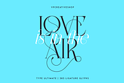 Type Ultimate - serif logo font, a Serif Font by VP Fonts (Thumbnail 19 of 24)