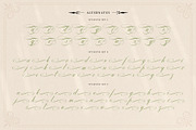 Mollani Nature Script, a Script Font by alit design (Thumbnail 9 of 20)