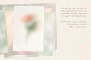 Through the Vellum - Backgrounds, a Background Graphic by Dina Mae (Thumbnail 4 of 13)