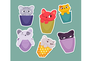Kitten in pocket. sticky with funny, an Animal Illustration by Onyx