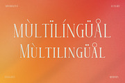 Glorando Modern Serif Font Display, a Serif Font by Storytype Studio (Thumbnail 12 of 15)
