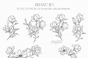 Magnolia Line Drawing Collection