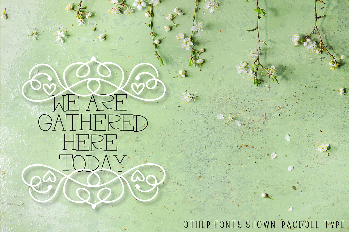 Ornament Font - Hand Drawn Swooshes preview 6