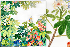 Fresh Botanical Watercolor, a Decorative Illustration by yahu88studio