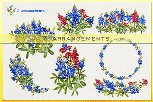 Bluebonnet Watercolor Clip Art