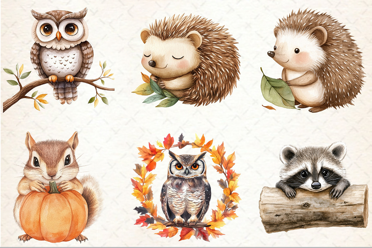 Autumn Forest Animal Clipart, an Illustration by Rose Art (Photo 3 of 4)