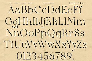 Qaitan Modern Serif Font