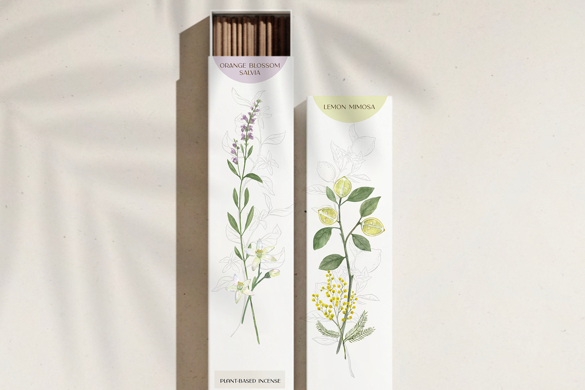 pressed-delicate-wild-meadow, a Decorative Illustration by beehouse studio (Photo 6 of 12)