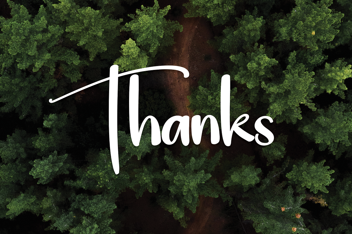 Woodland | Script Font, a Script Font by Scratchones (Photo 6 of 8)