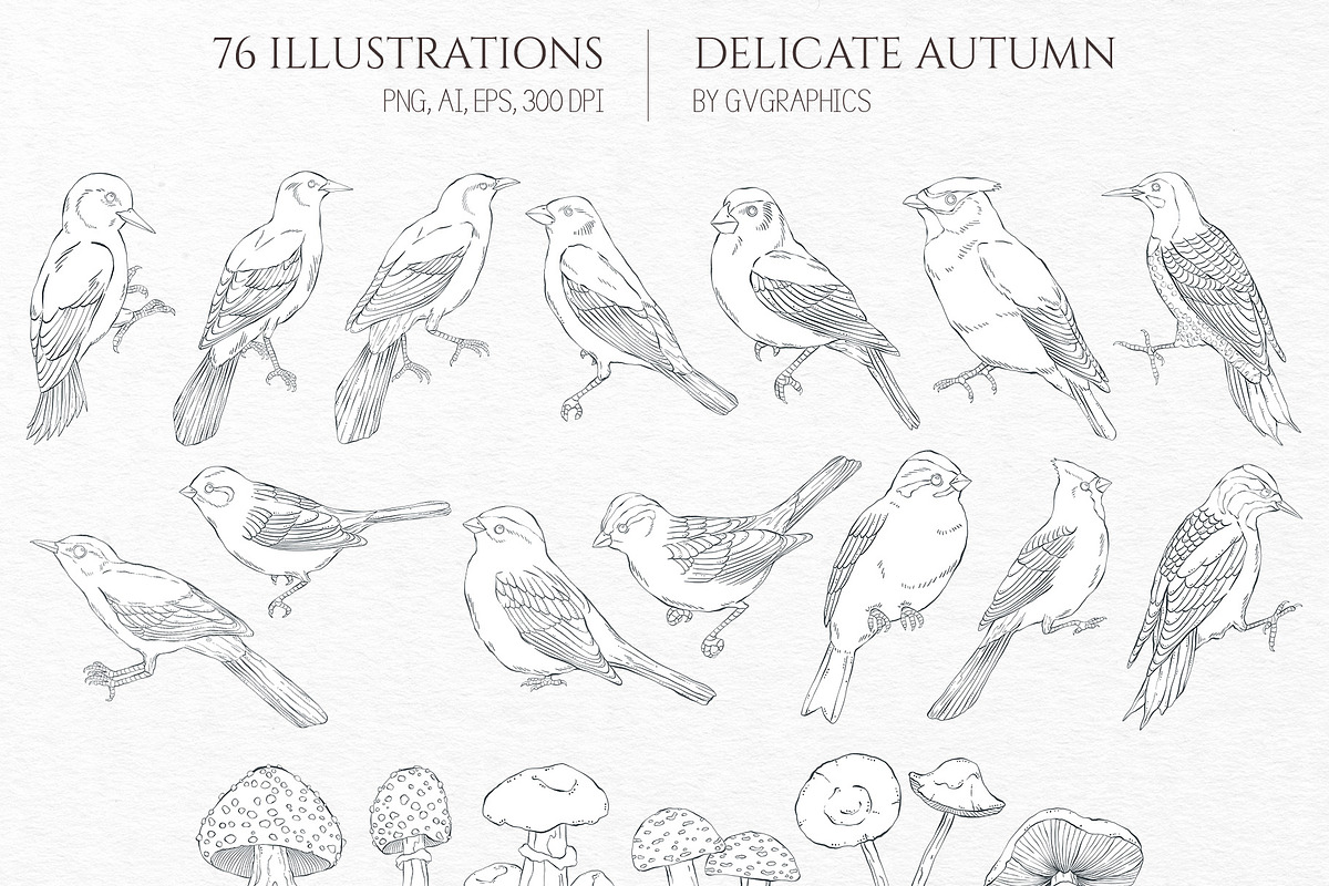 Delicate Autumn Collection, a Seasonal Illustration by GVGraphics (Photo 2 of 15)