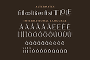 Meridian Premium Serif Font, a Serif Font by Artiveko (Thumbnail 4 of 11)