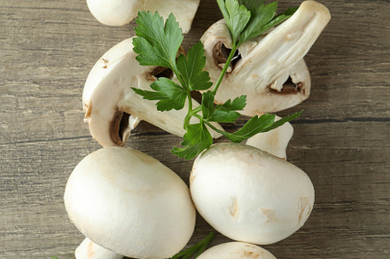Concept of tasty food with champignon on wooden, a Food & Drink Photo by AtlasStudio PRO
