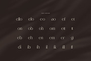 Mellodi Rettron Modern Serif Font, a Serif Font by Graphicxell (Thumbnail 8 of 8)
