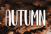 Summer, a Serif Font by InermediaSTUDIO (Thumbnail 5 of 5)