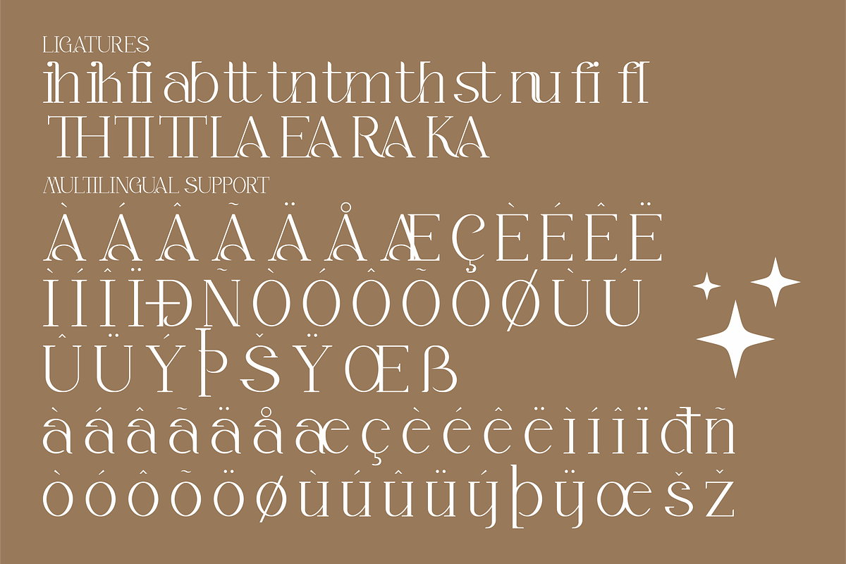 Alika Minimalist Serif Font, a Serif Font by Storytype Studio (Photo 7 of 8)