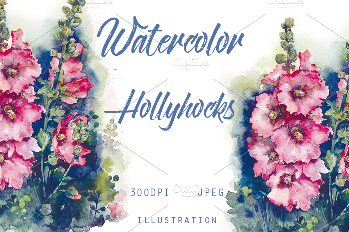 SALE! Watercolor Hollyhocks flowers, a Decorative Illustration by MaryAmi (Photo 1 of 3)