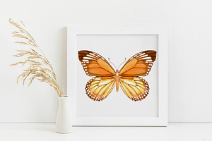 34 Butterflies - Vector Watercolor