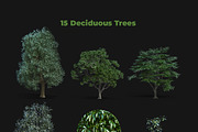 Artistic Nature Mockup #01, a Product Mockup by ARKS ACADEMY (Thumbnail 6 of 11)