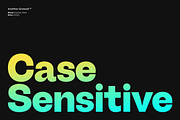 Another Grotesk Display Family, a Font by Bukva™ Type Foundry (Thumbnail 9 of 15)
