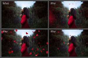 Falling Rose Petals Photo Overlays