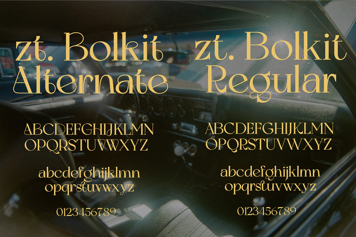 ZT Bolkit - Display Serif, a Serif Font by zelow type (Photo 10 of 15)
