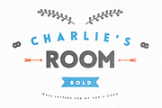 Six Fonts Bundle, a Font by mynameisyanick (Thumbnail 3 of 5)
