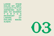 Baltimore | Serif Display Font, a Serif Font by Rough Patch Studio (Thumbnail 3 of 7)