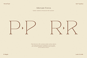 NV NERIVO – Modern Serif Font, a Serif Font by Novaratype (Thumbnail 7 of 15)